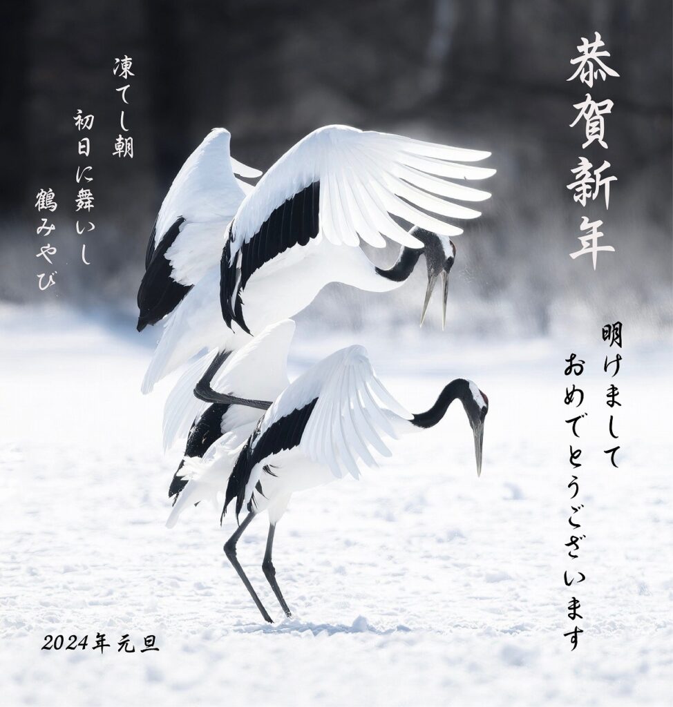 新年　明けましておめでとうございます